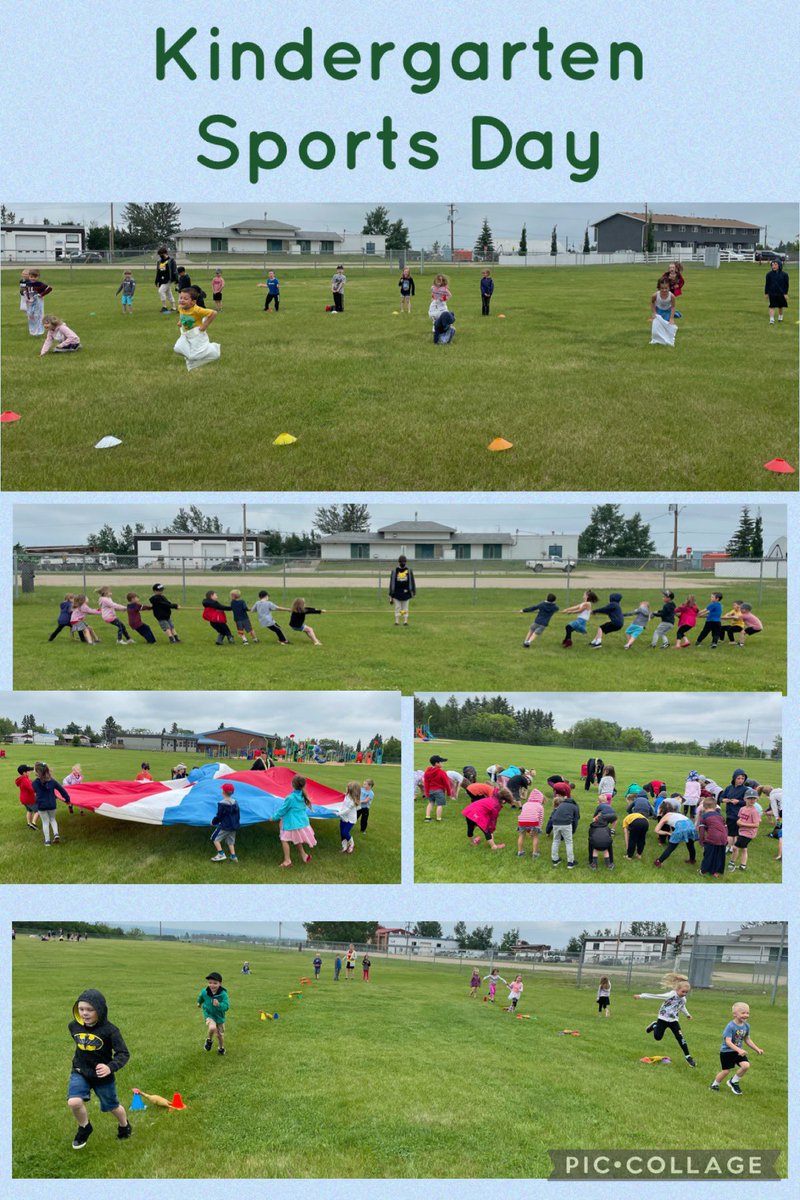 Serena Chouinard tweet media