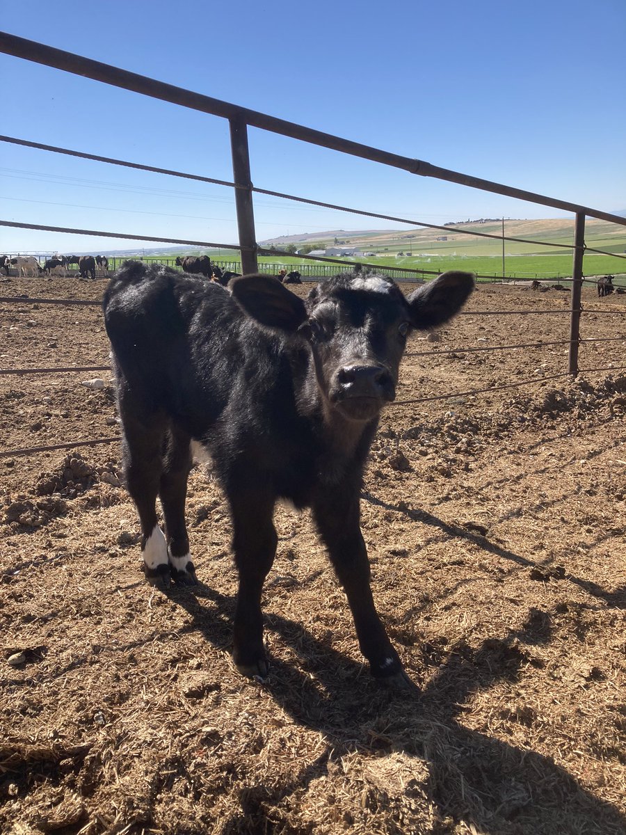 My newest COWorker born a few days ago😍😍😍. Any name suggestions!!?