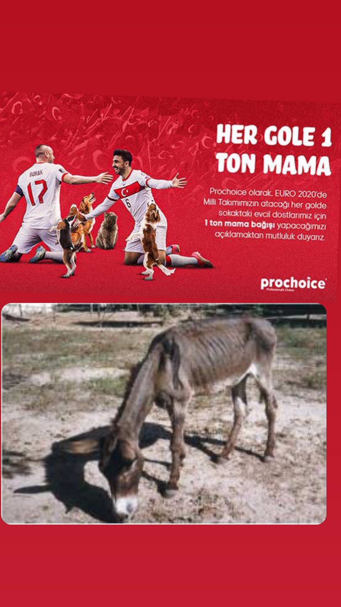 Alptuğ (@alptuaydn) on Twitter photo 