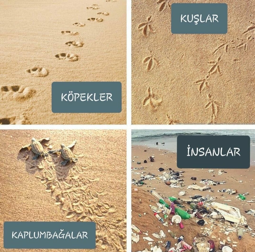 İnsanlar...