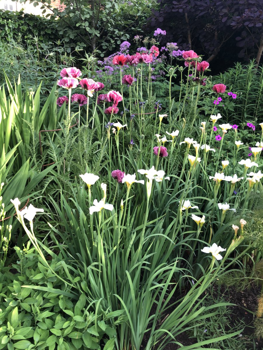 Janene Cox OBE tweet media