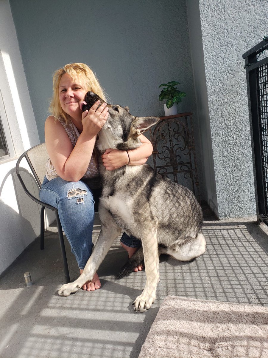 Confronting Podcast tweet media