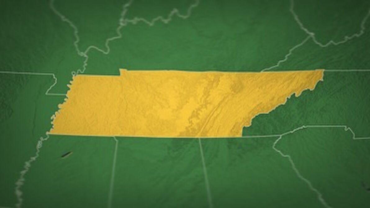 OrderNerd tweet media