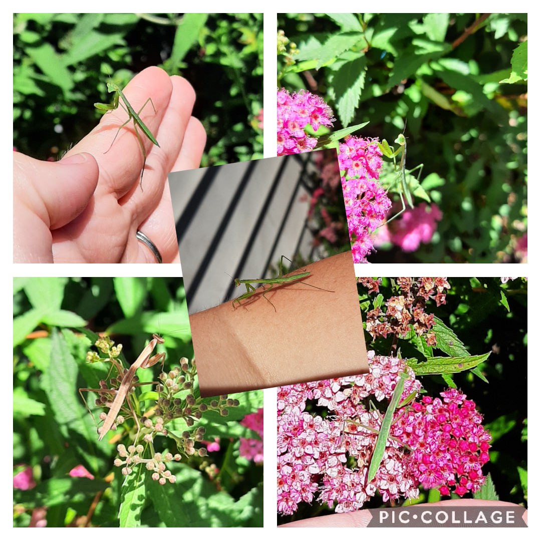 Mrs.EArnold tweet media