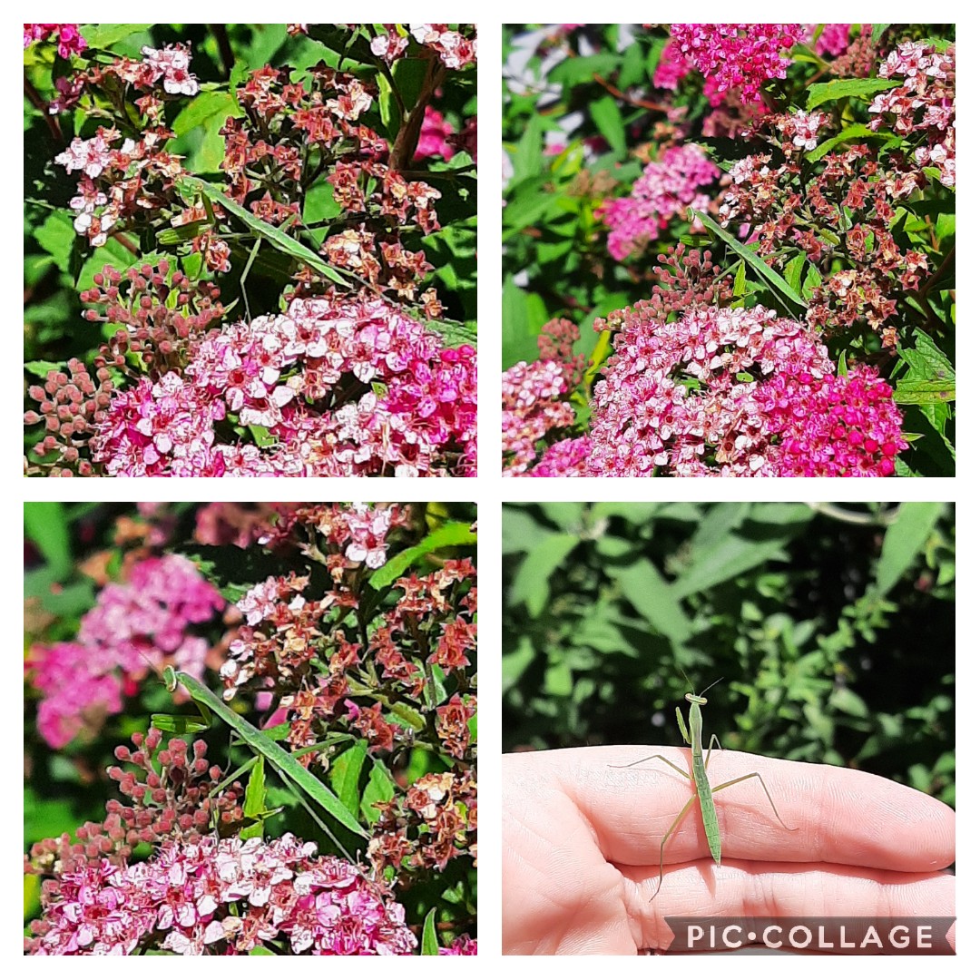 Mrs.EArnold tweet media