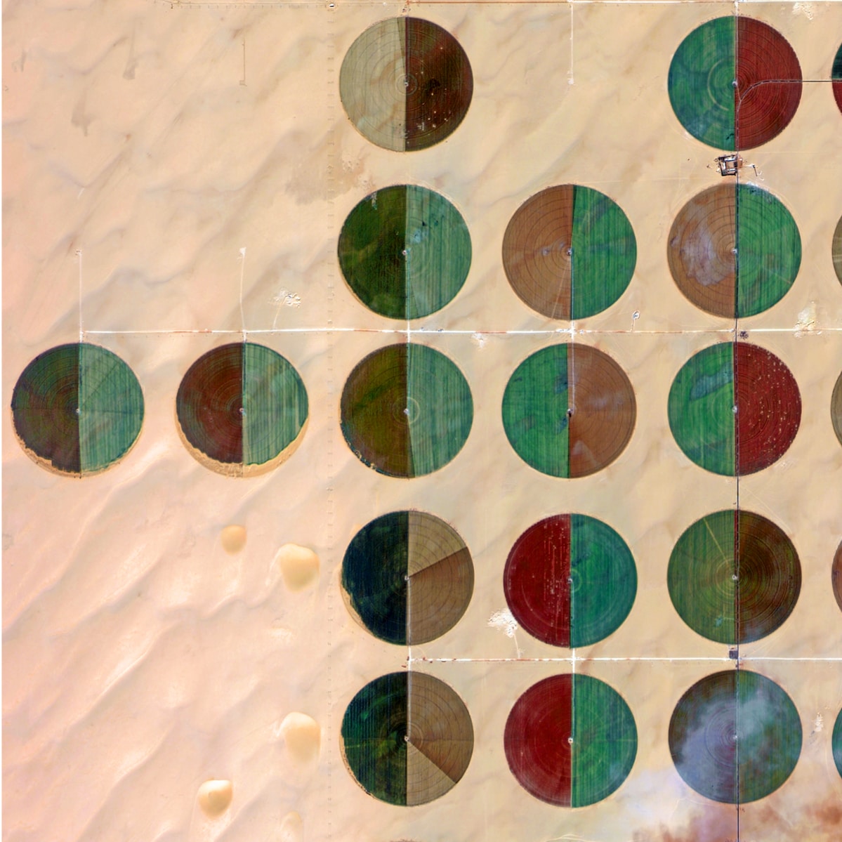 EgyptFromSpace's tweet image. Agricultural Structures - The Western Desert, #Egypt - 2020 | #EgyptFromSpace #DEIMOS2 #SmartAgriculture #SatelliteImagery