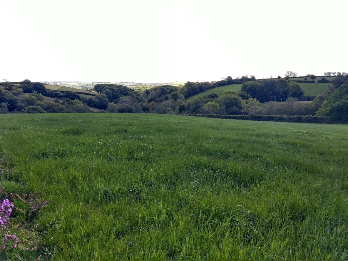 DevoniaEscapes's tweet photo. Yay! Planning permission granted for our holiday cabin heaven in Devon.  Now the real work starts.... https://t.co/US7vbETYr5