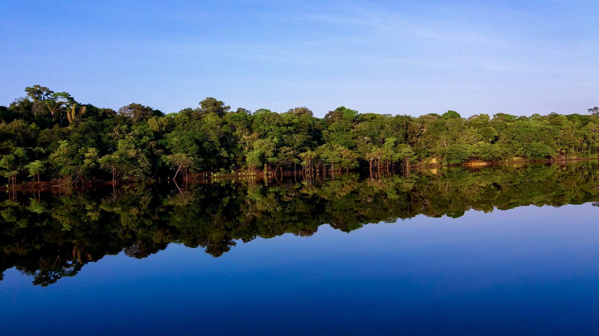 antonioyahn's tweet photo. "Life should have more nature and less stress."

 Another one from the Amazon series.

 #landscape #nature #naturephotography #igapoaçu #travel  #landscape #suaphoto #brazil #photo #fineart #landscapephotography #photography #picoftheday #travelphotography  #brazil
 #Amazonia https://t.co/vGvHUlfBOk
