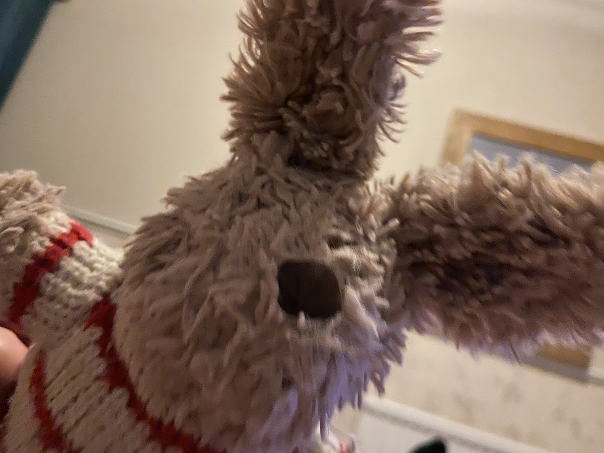 Mr_Rabbit_1's tweet photo. #rabbitselfie https://t.co/F3Rik8mL7e