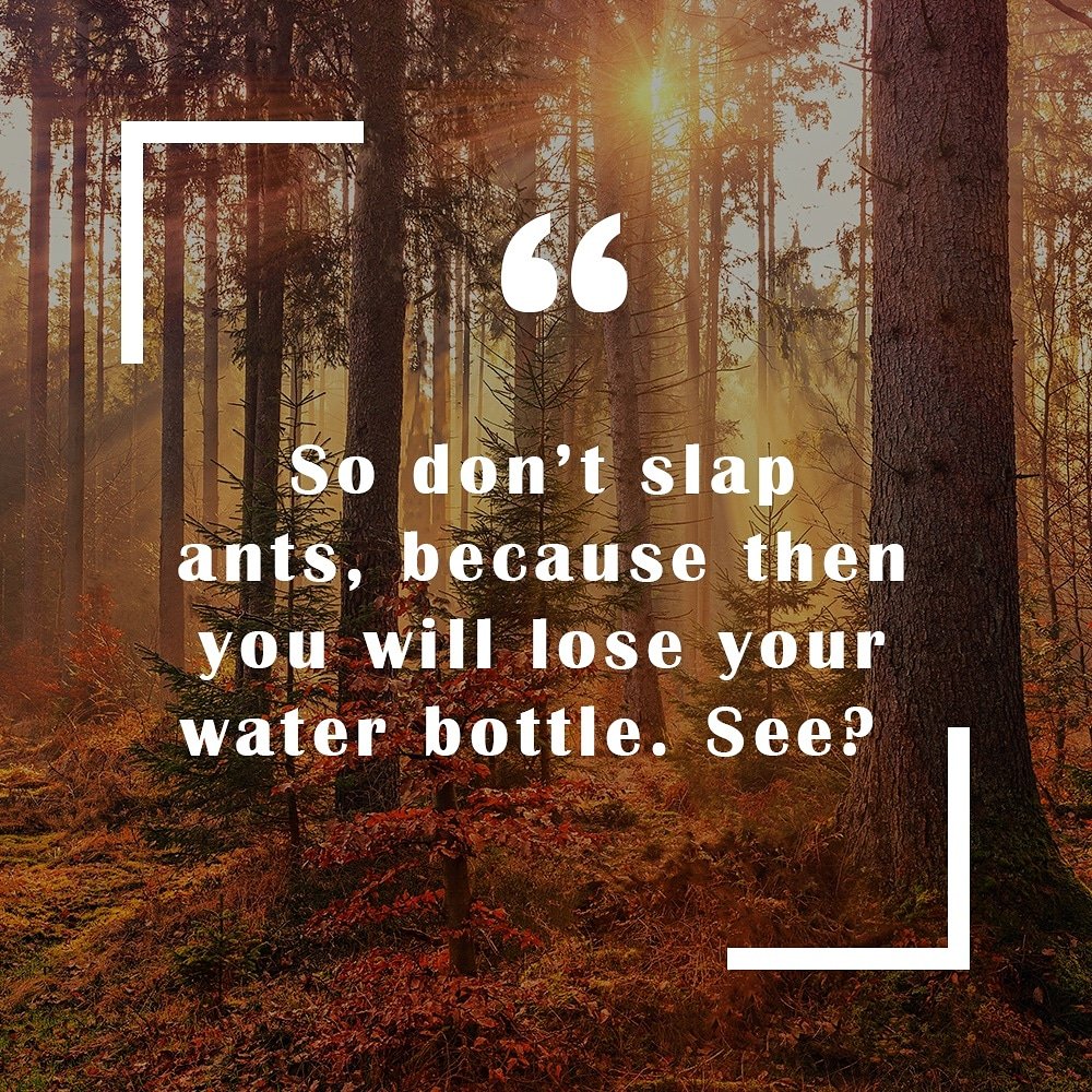 ScrollsOfQuotes's tweet photo. "So don't slap ants, because you will lose your water bottle. See?" #quoteoftheday #quotebook #notInspirational #TheOneWhoReclines #splendid #ant #slap #waterbottle #water #wednesday #Wednesdayvibe #wednesdaywisdom #wednesdayvibes #wednesdaymood #wisdom https://t.co/hmBaIVrfHd