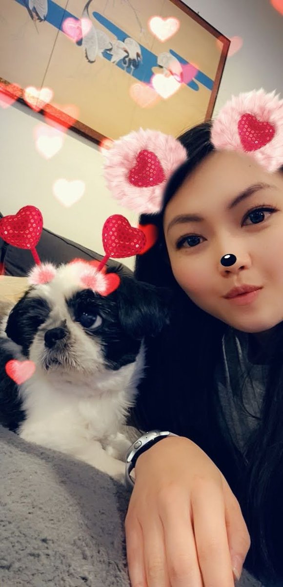 MichelePanu's tweet photo. Pup appreciation post!
#woofwednesday #scfilter #furmamma #shihtzu #goldendoodle #pug #love #furfamily #brothersfromothermothers #adoptdontshop #furbabies https://t.co/GB51Bf2dm4