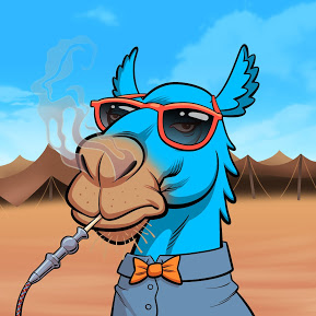 Big Meesh tweet media