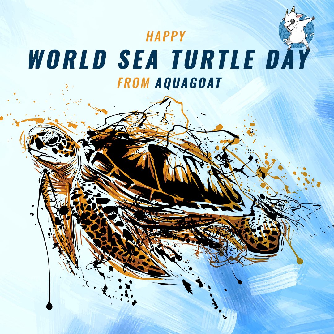 Hey Goats! We wish you all a Happy World Sea Turtle Day and to our new Turtle Hatchery with FOSTER and Alexander Yee. Our community's support has allowed these amazing partnerships to happen, thank you for all your support! 

#AquaGoatBSC #SeaTurtleDay