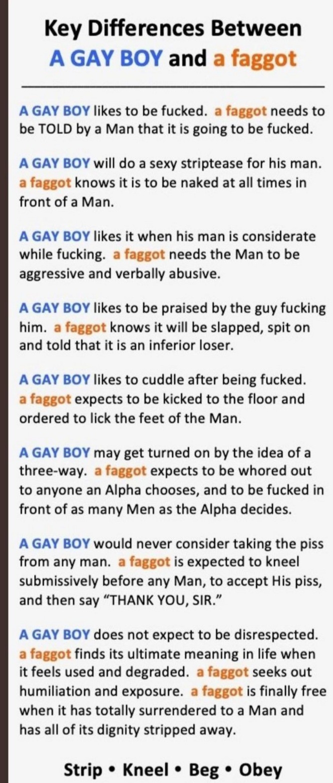 Hots Cleaner Gay Faggot Tumblr