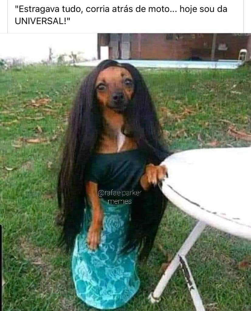 Rafael Parker (@rafaelparker) on Twitter photo 