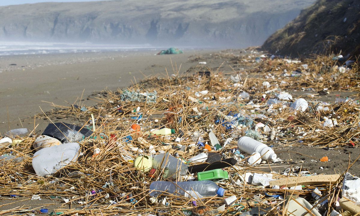 HugoSAS's tweet photo. We urgently ⚠️ need the promised Deposit Return Scheme to..

✅Stop millions of plastic bottles from polluting the ocean &amp;  environment
✅Stop littering of drinks bottles &amp; cans
✅Reduce carbon emissions
✅Create green jobs
✅Deliver circularity 

Don’t bottle it @DefraGovUK https://t.co/XyfrpM658p