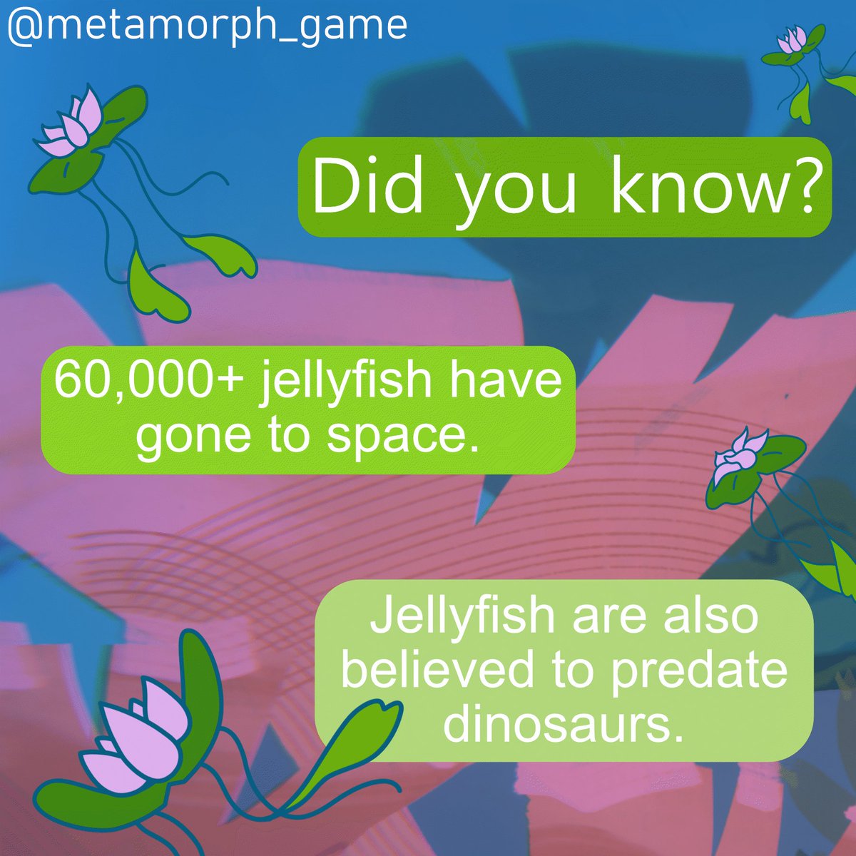 It interesting how jellyfish relate to both the distant past and future😄 

#fishyfacts #jellyfish #lilyfish #metamorphthegame #oceanlifematters 

Source: businessinsider.com/jellyfish-fact…