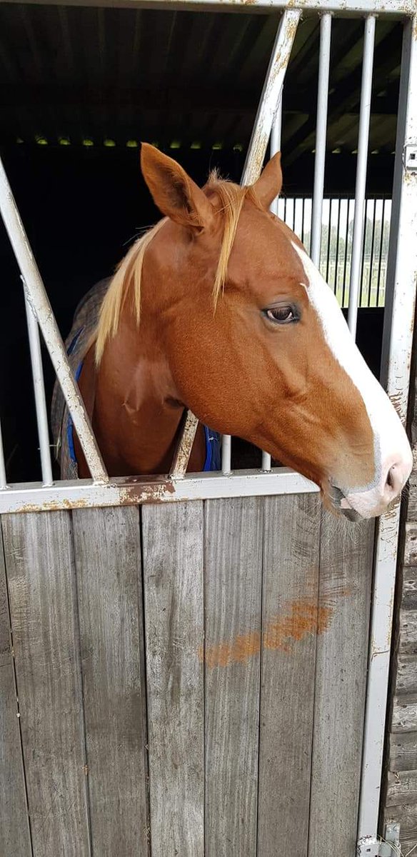 Chris Liddle tweet media