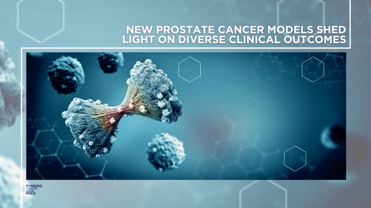 Damon Runyon Cancer Research Foundation (@damonrunyon) on Twitter photo New #prostatecancer models developed by Damon Runyon Clinical Investigator <a href="/Chris_Barbieri1/">Chris Barbieri</a> and colleagues at <a href="/WCMUrology/">Weill Cornell Medicine Urology</a> & <a href="/nyphospital/">NewYork-Presbyterian</a> point to new pathways that could help predict disease #progression: bit.ly/3pZANYg New #prostatecancer models developed by Damon Runyon Clinical Investigator <a href="/Chris_Barbieri1/">Chris Barbieri</a> and colleagues at <a href="/WCMUrology/">Weill Cornell Medicine Urology</a> & <a href="/nyphospital/">NewYork-Presbyterian</a> point to new pathways that could help predict disease #progression: bit.ly/3pZANYg