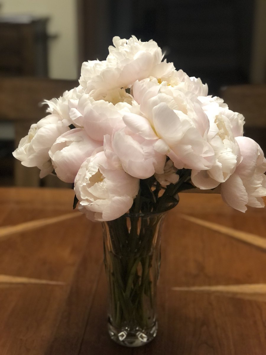 CMolinero181's tweet photo. In the fall, I volunteered to be a remote teacher and I was terrified I wouldnโt be able to make the connections, that teachers need to reach kids. Yesterday, my favorite flowers were delivered to my home from a student. #connectionsmade #kidsfirst @CCSD181 #d181proud https://t.co/UQELTuDyFG
