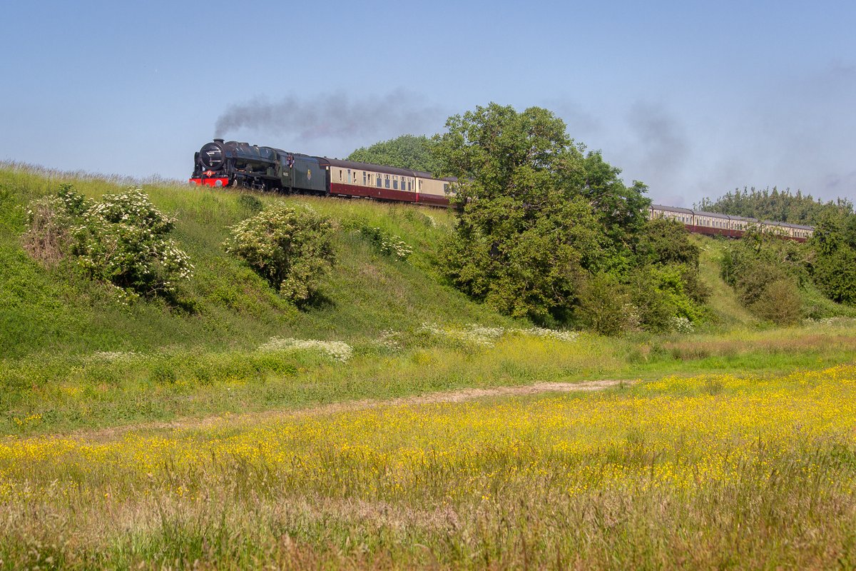 Matt Prosser tweet media