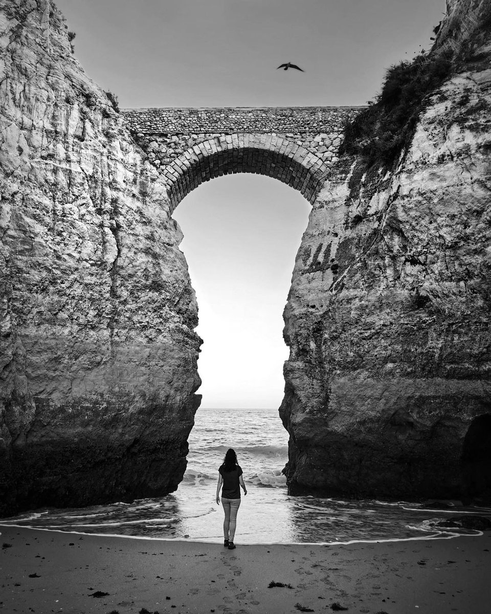 Adela Petricor tweet media