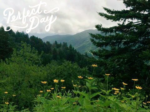 Lyriciam's tweet photo. A beautiful day from the top of the #mountains. Reminds me the higher you climb the greater the #rewards.  Although the road may be narrow and filled with sharp curves if you keep steady the course beauty awaits. #NewfoundGap #Greatsmokymountains https://t.co/wyOzC1qnp4