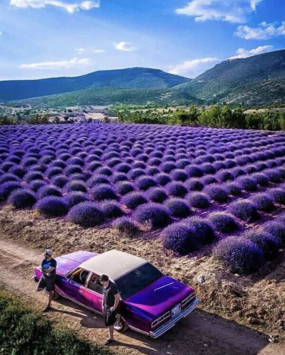 NUFBRecruiting's tweet photo. Feeling that Purple vibe!!!

#GoCats x #B1GCats 😈🏈💯

#CommitToNU22 🌟🌟🌟 https://t.co/7vYEcY9Ksh