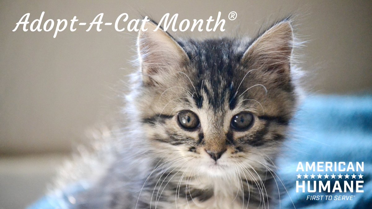 "No Animals Were Harmed" - American Humane - American Humane