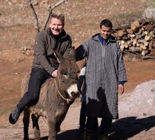RT @Tarekthenose: Rare pic of Gordon Ramsay riding one of his co chef https://t.co/qWw2bxoPCc