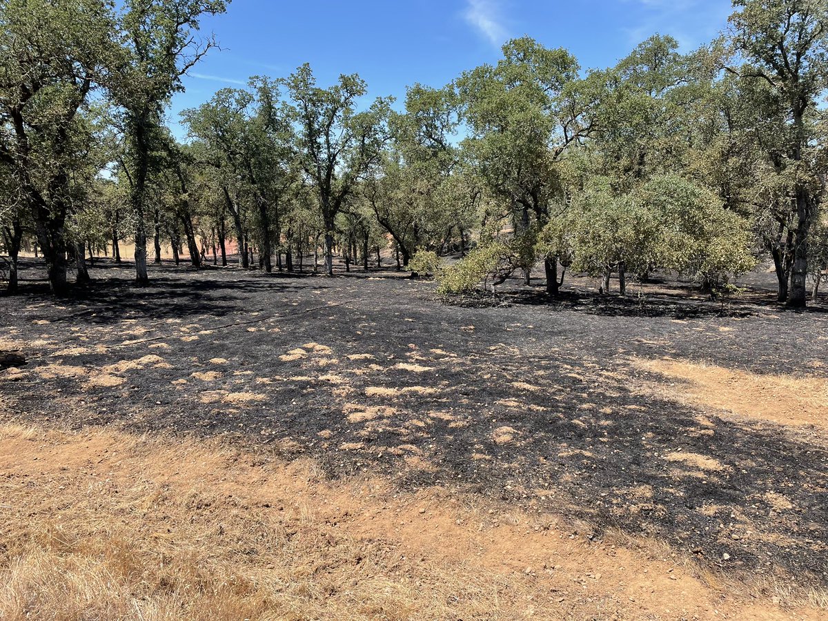 CALFIRE_ButteCo's tweet photo. #CharlesFire [final] The fire burned 2.4 acres of grass and oak woodland. Crews remain at scene mopping up. https://t.co/wWAxtwqTCP