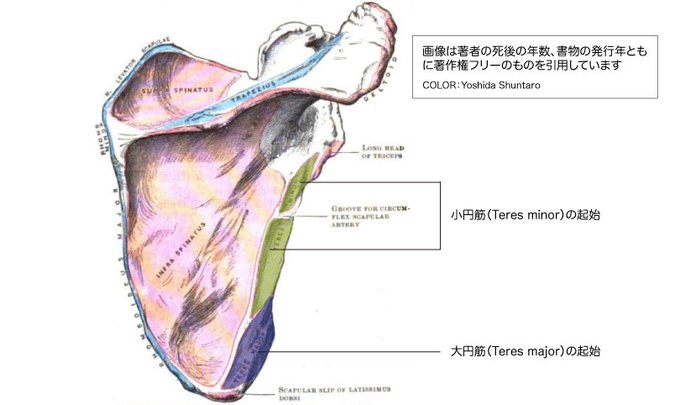 小円筋のtwitterイラスト検索結果