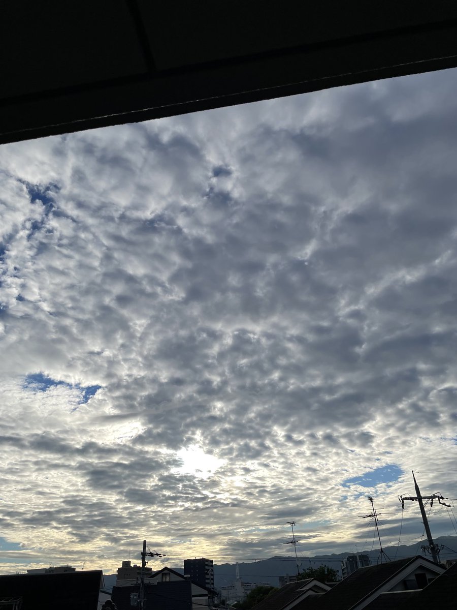 atelierjuns's tweet photo. お早う　朝は涼しいけど　日中は熱中症に🥵
気を付けようとTVで言ってるよー https://t.co/s7oneUzfkx