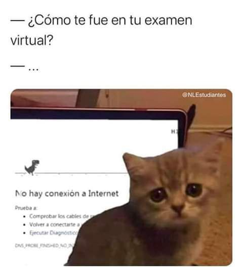 ClaroSufriendo's tweet photo. Michi reprobado por la culpa de @ClaroPeru 
#Claro #InternetLento #claroarreglamiinternet #teodioclaro #notengoseñal #SufriendoconClaro #quierointernet https://t.co/mHf4WDvkkt