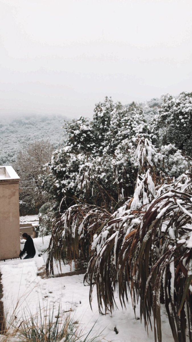 Rio Ceballos hoy ❄️