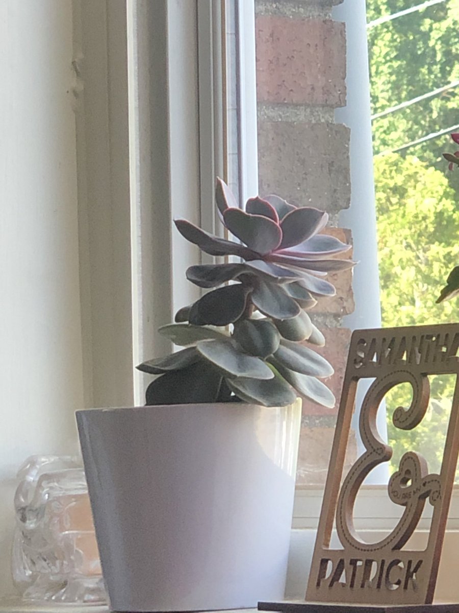 samcomparone's tweet image. New post on #samspace samspace.blog #blogger #blogspacert