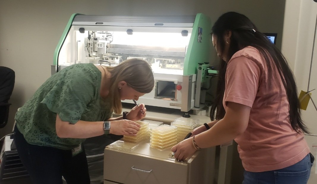 CSD Graduate Program tweet media