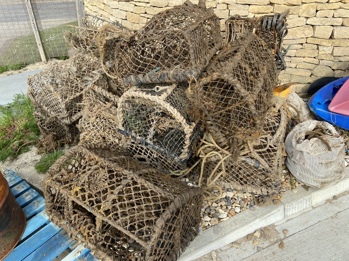 Result of one weekend with @seashepherd_uk Ghostnet Campaign. Abandoned fishing gears keep catching marine life..but crabs didn’t want to come out. 😂 “We are trying to save you! Don’t pinch us!!” 😂