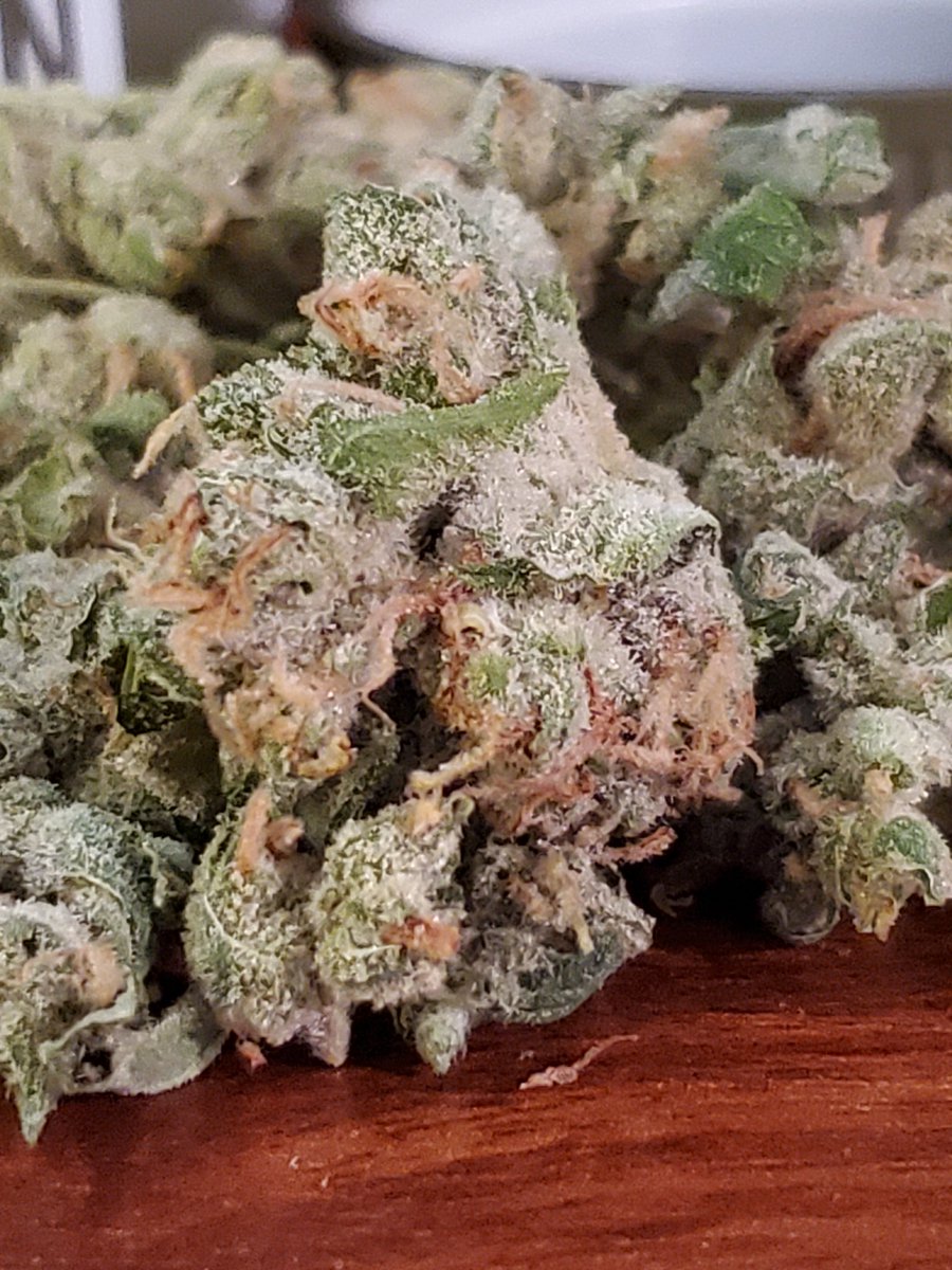 bud_ease_'s tweet photo. Princess Leia from @TerrapinCare. A friend told me to try Terrapin and I have to say I was not disappointed. What a great sativa. Energizing! #pamedicalmarijuana #pammjpatients #pammj #pammjreviews #pammjpatient #mmjcommunity #mmjpatients #mmjlifestyle #medicalmarijuana https://t.co/1V4fYUflYD