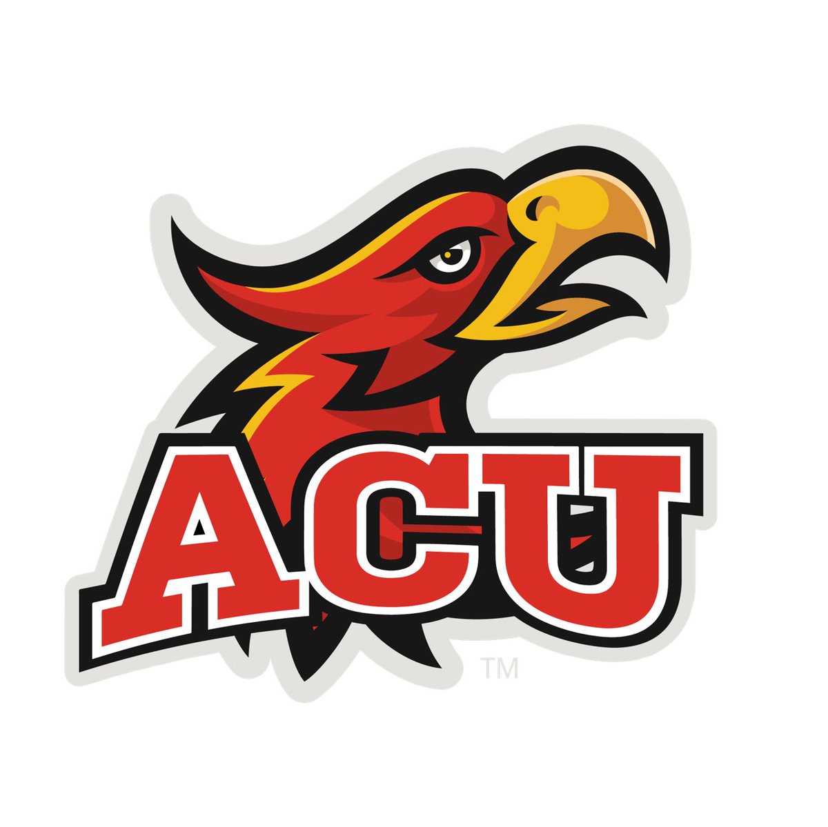 noah_niemela's tweet photo. ✝️🔥After great conversations with @CoachArt3 and @coachtwill88 I am blessed to receive an offer from the 2021 Sooner Conference Champions Arizona Christian University!🙏🏼 @JeffBowenACU @ACUFootball1 @Coach_SCoop @shawn_kemmer @cdaviksfootball @BrandonHuffman https://t.co/dBw3NVggk3