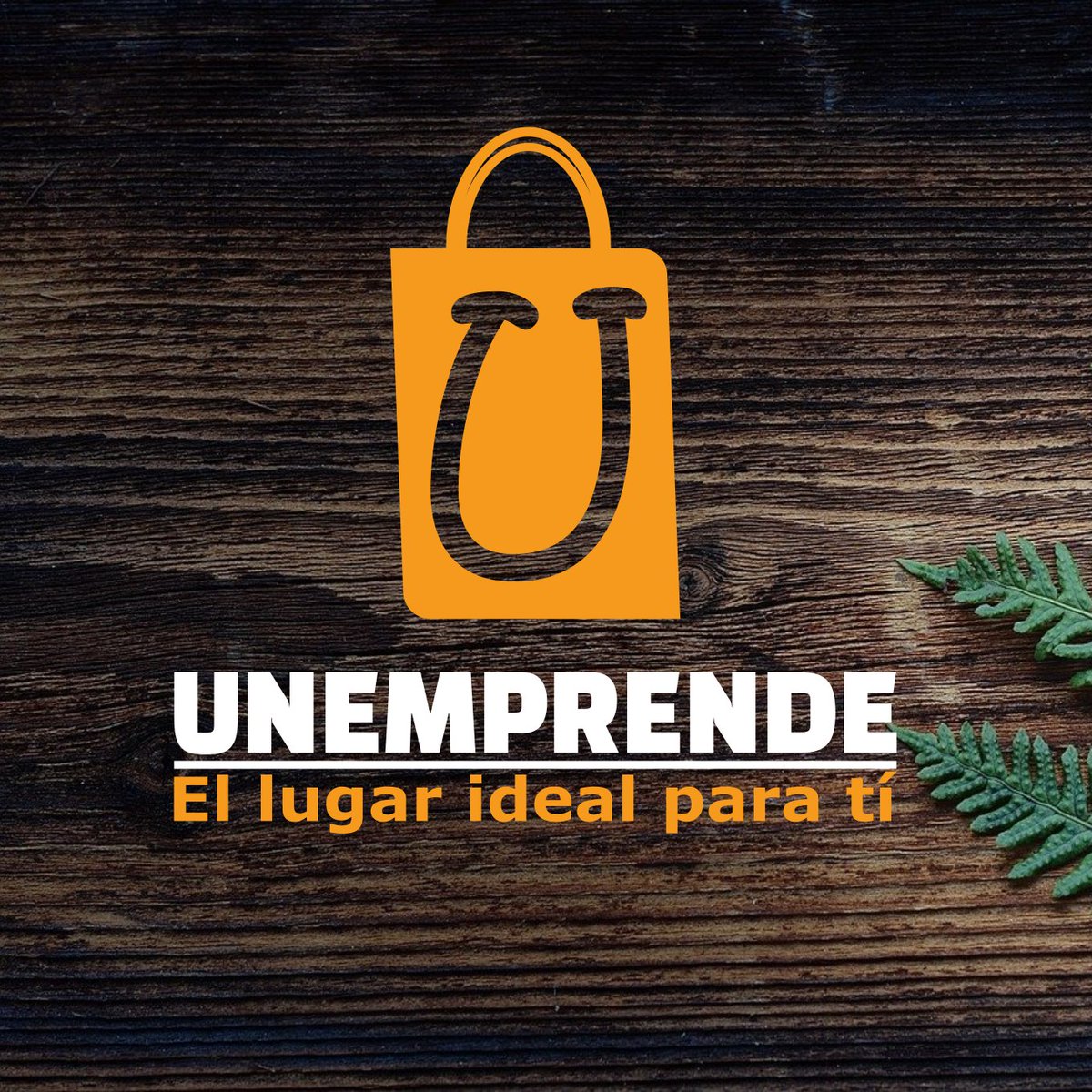 unemprende's tweet photo. #NuevaFotoDePerfil https://t.co/RhAuTVIq8l