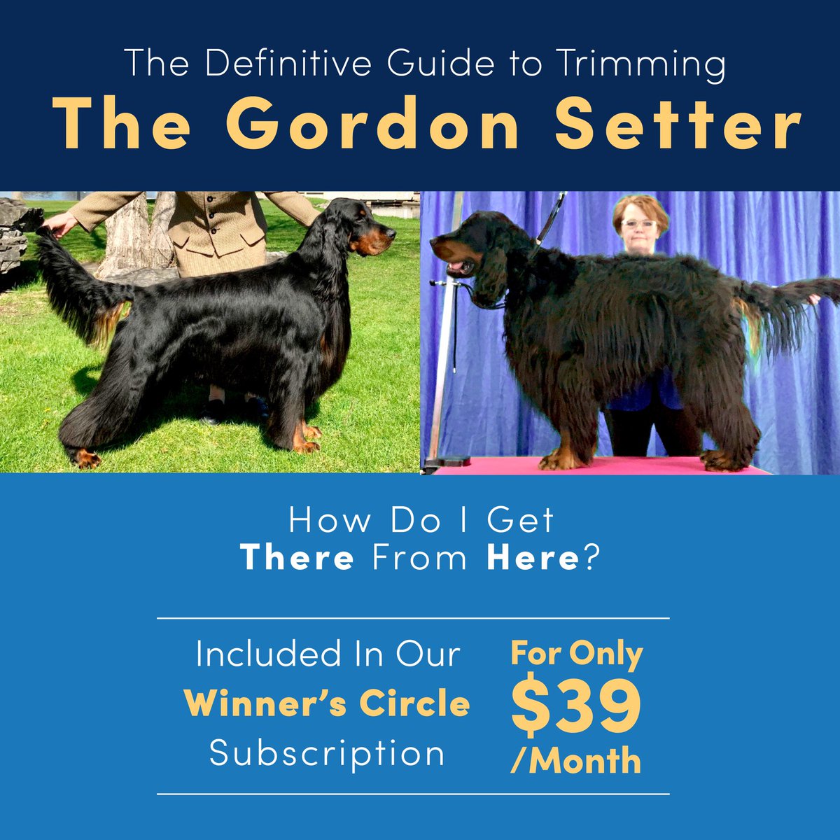 leadingedgedogs's tweet image. We’re excited to introduce you to our latest course The Definitive Guide to Trimming the Gordon Setter! 

In this course you will learn everything from the most basic to the most advanced techniques you need to trim your Gordon Setter. 

leadingedgedogshowacademy.com/p/the-definiti…