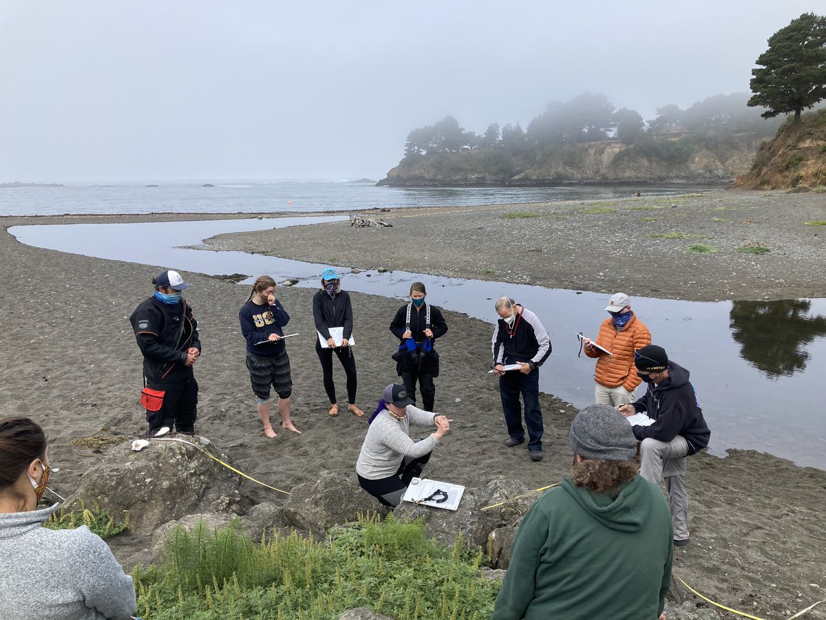 Reef Check tweet media