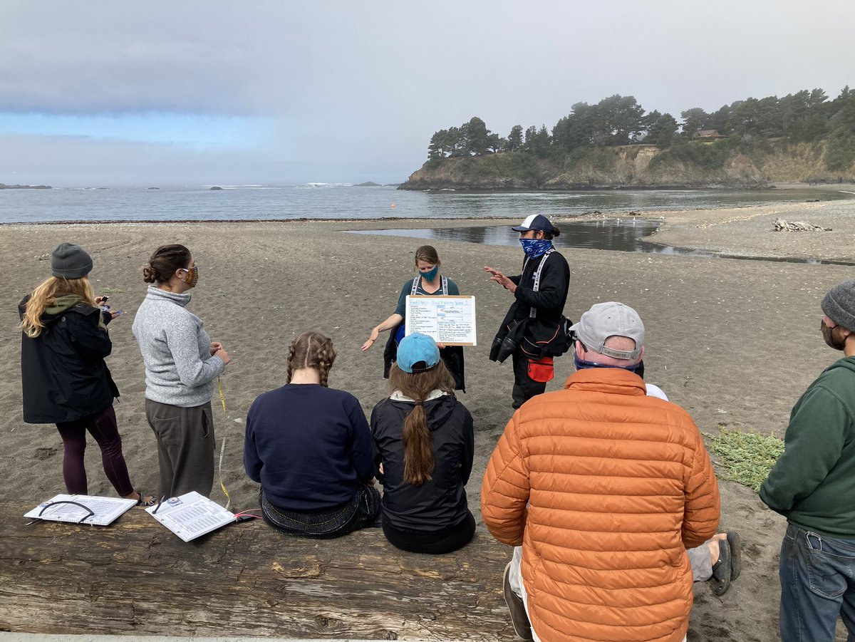 Reef Check tweet media