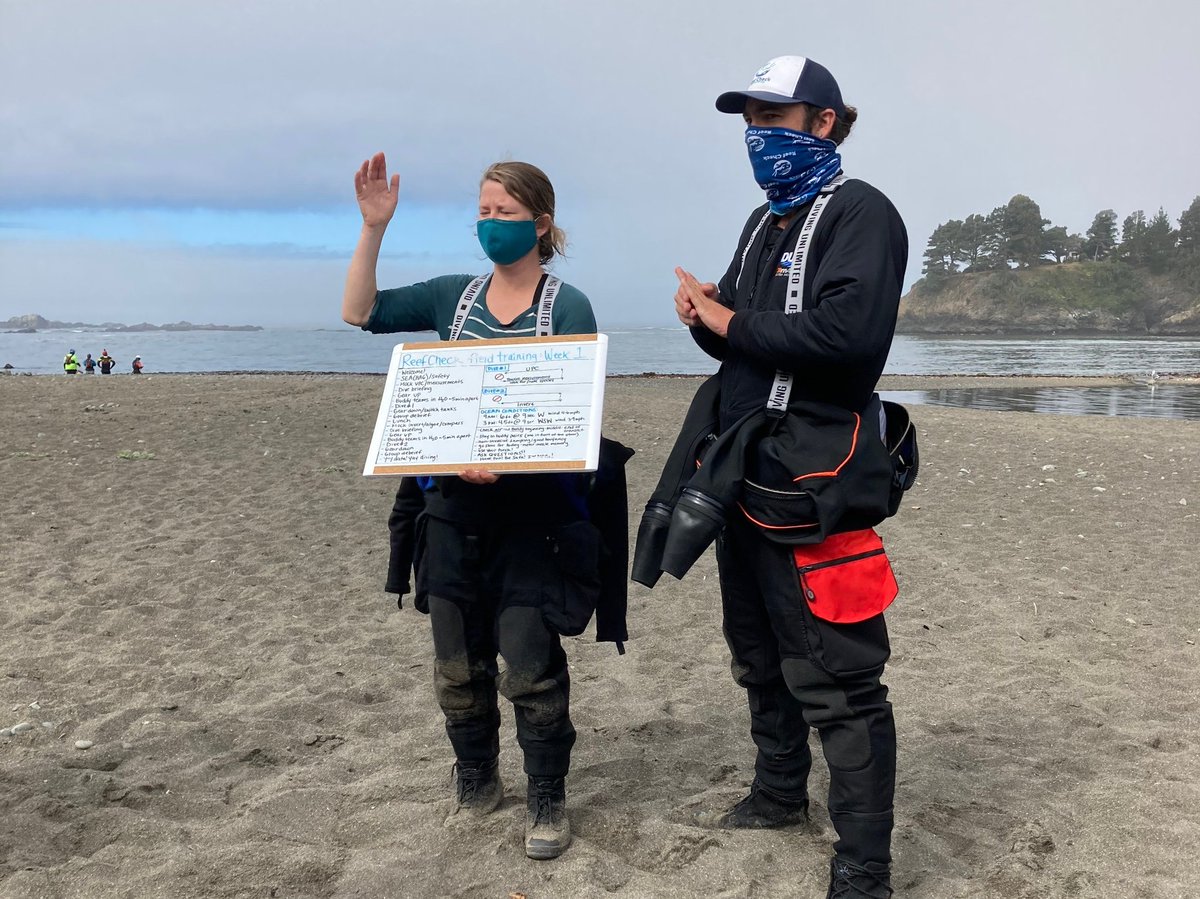 Reef Check tweet media