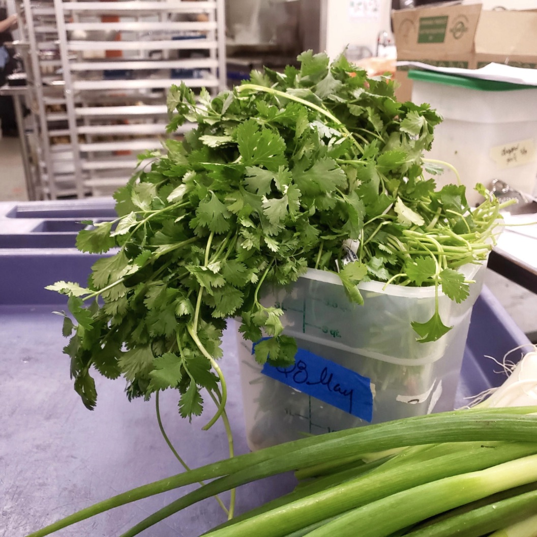 FarmToFit's tweet image. Yes, folks. It’s time for the “Cilantro Convo.” 🌿
 
We know everyone has *strong* feelings about this herb. That’s why with our new online shopping cart, you can check a box to have cilantro included or omitted in your meals! 🙌

Place your orders at farmtofit.com.