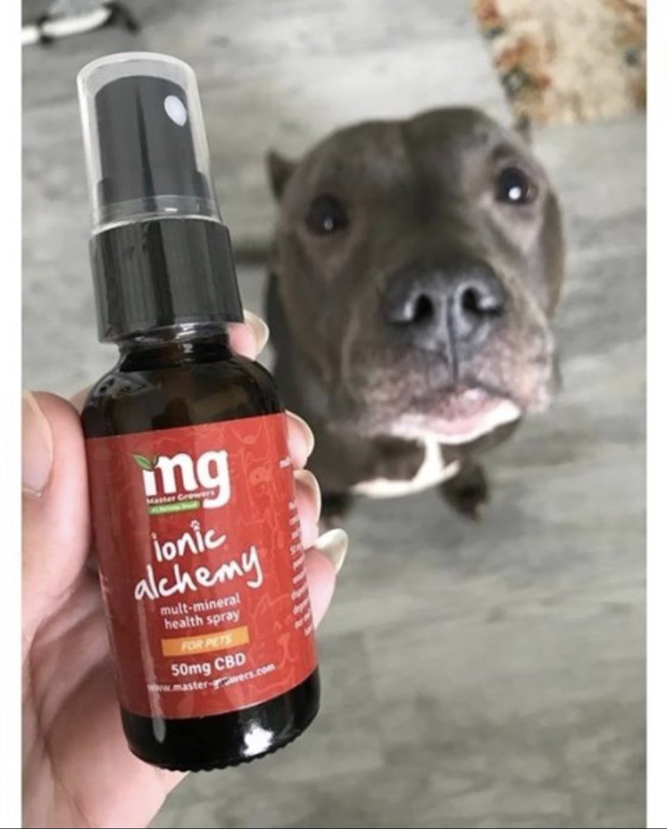 MasterGrowers's tweet photo. Are you a fan of Master Growers? If so leave us a review! ⭐️

#mastergrowers #cbd #wellness #herb #healingherb #tincture #cbdtincture #cbdcoffee #antispasmodic #antiinflammatory #nothc #thcfree #hemp #hempectract  #instawellness https://t.co/vSPqGjBZri