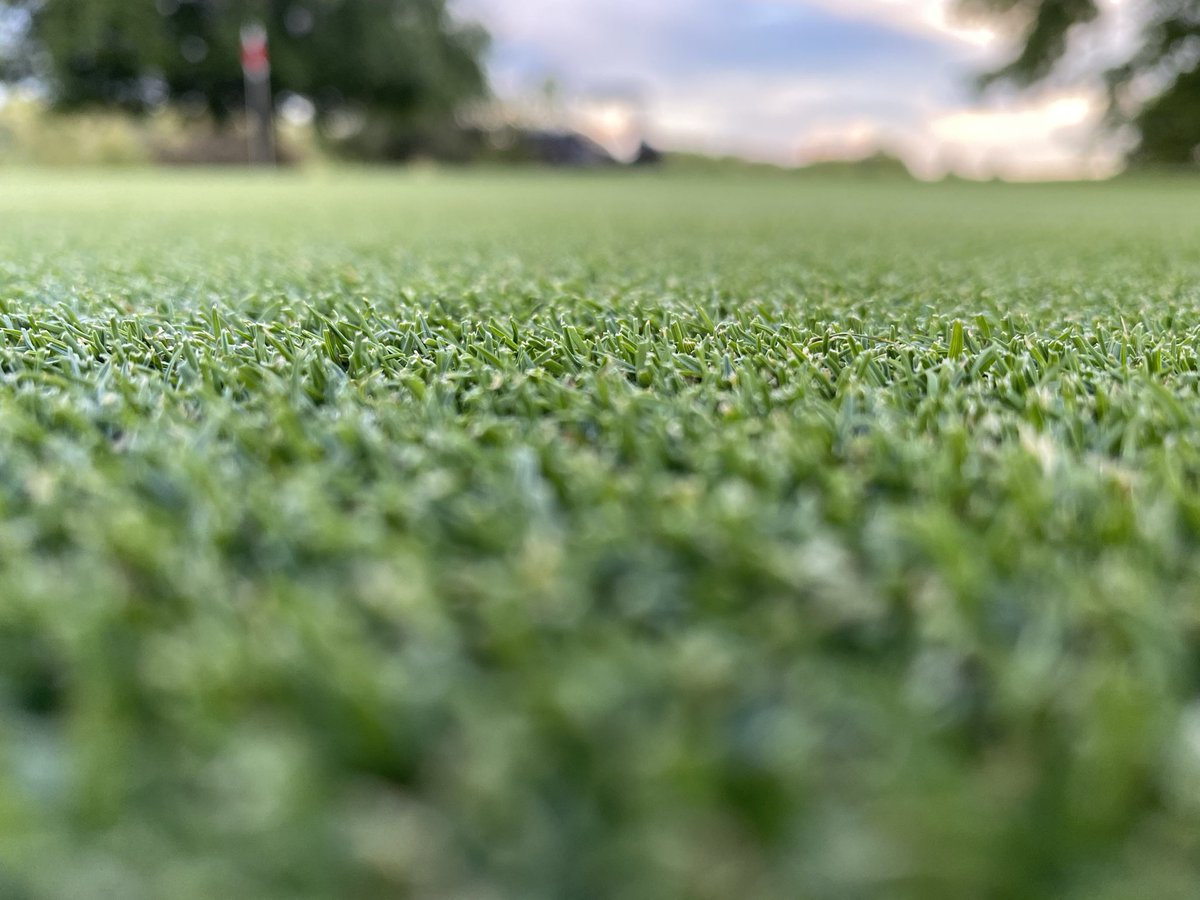 PollioNick's tweet photo. We’ve been through a lot but @DelmarGolf is making moves https://t.co/eL7YSMVttA
