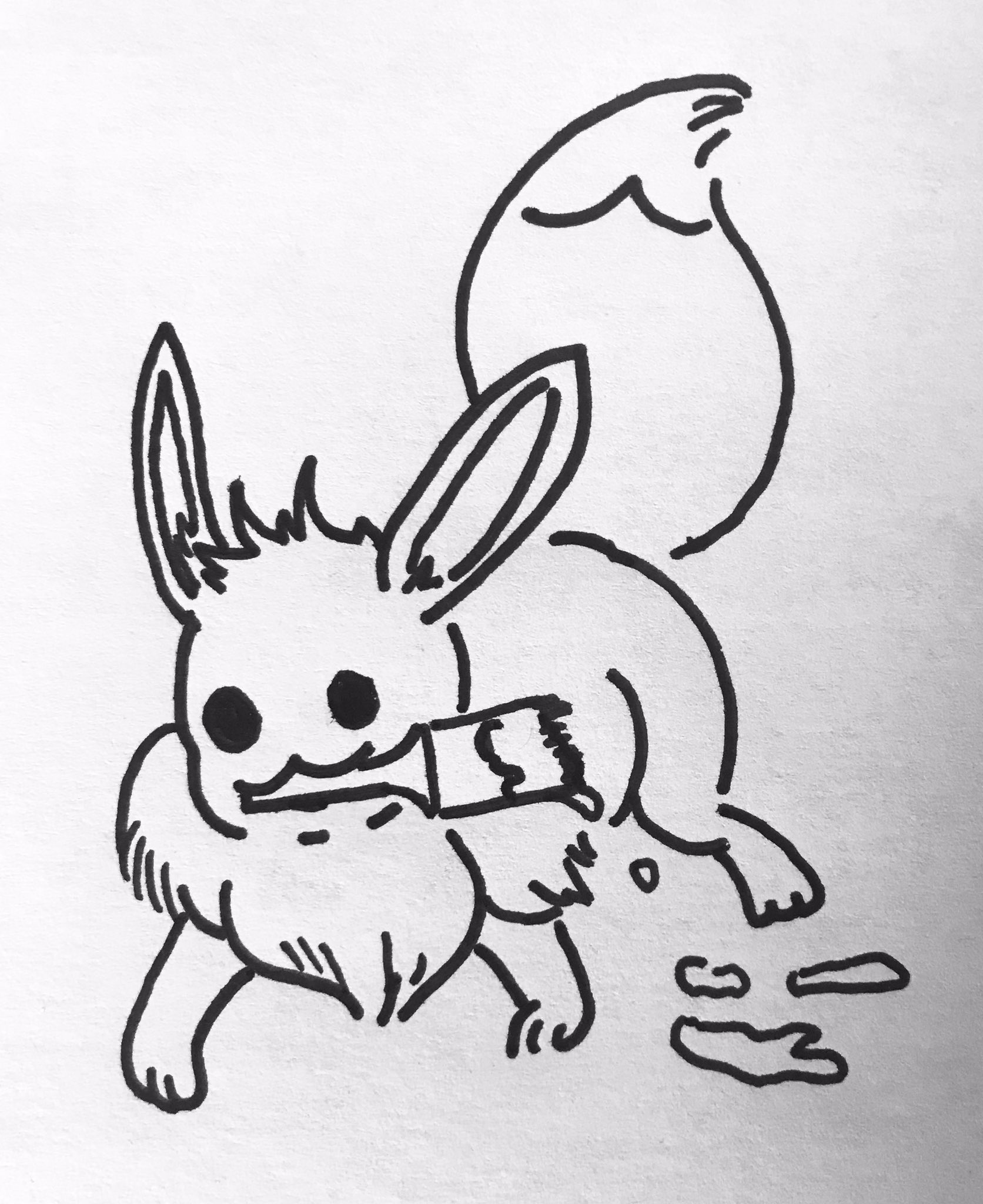 Eeveelutions Twitter Search Twitter