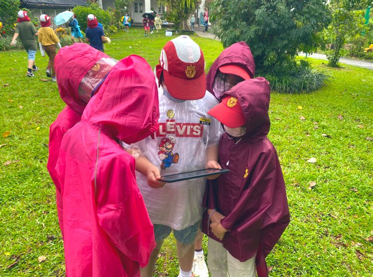 anfield_schhk's tweet photo. #Year5 has had a busy Summer Term exploring their topic, ‘Grow Green in the City.’ After exploring #SustainableFarming in urban environments, they created and maintained their own farm on our school playground
#AnfieldSchoolHK #HongKongSchools @teach_MissR @anna_gilchrist @WWF https://t.co/LrIk8nS0q8